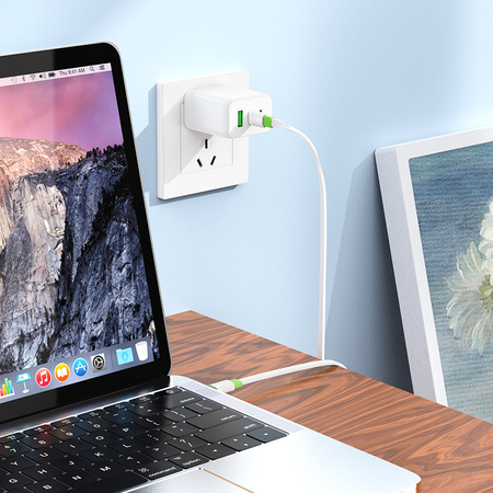 Borofone Kabel BX89 Union - Type C na Type C - PD 60W 1 metr biało-zielony