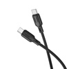 Borofone Kabel BX113 Lenny - Typ C auf Typ C - PD 60W 3A 1 m schwarz